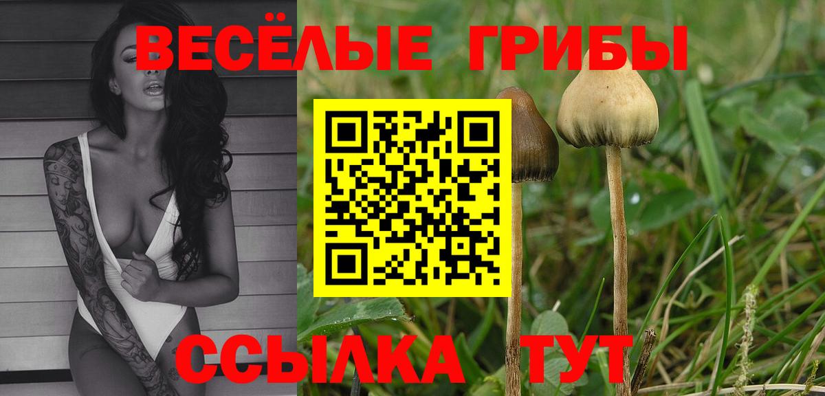 Уварово  Галлюциногенные грибы Cubensis  Вход с VPN  Галлюциногенные грибы Magic Shrooms 